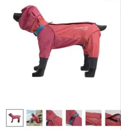 新品 ALPHAICON FDG SS2026 1XL 大型犬 フルドッグガード - メルカリ