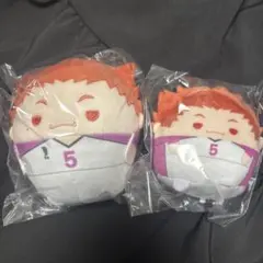 ハイキュー!! くじメイト ぬいくじ2 C賞 ふわコロりん 天童覚 - メルカリ