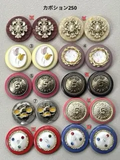 ボタンカボション250① 2/18