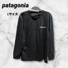 【中古品】ラスト一点‼️patagonia パタゴニア　ロンTシャツ Lサイズ