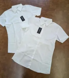 新品 CLOSSHI Biz レディース 事務服 半袖ブラウス 11号 白2枚