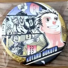 コレクション缶バッジ Memories ハイキュー!!』コレクション缶バッジ “MEMORIES” 第3弾 烏野高校