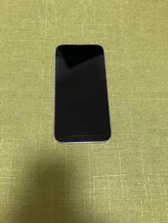 Apple iPhone 13 ProMAX 本体 ジャンク