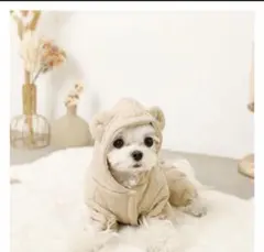 モンシェリ 撥水くま耳キルティングジャンプスーツ ベージュ Lサイズ