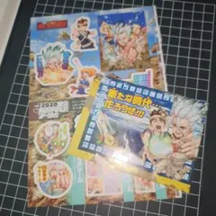 ドクスト Dr. Stone ステッカー セット ジャンプ 付録 非売品