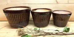 未使用/特価❕常滑焼/茶釉/植木鉢/３個組　　　盆栽鉢/深鉢/ガーデニングのサムネイル