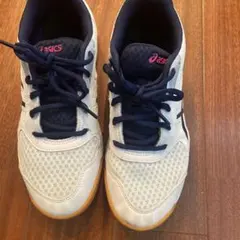 Item thumbnail for item b42f5c44-6c33-40c8-885a-2eb2721acd51