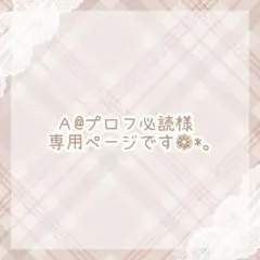A@プロフ必読様 専用