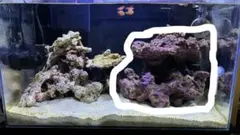 ✐プラグ穴付き 新品 人工ライブロック 60cm海水水槽用 レプリカ 安い3 楽天市場】ライブロックの通販