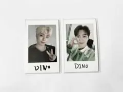 SEVENTEEN TOUR FOLLOW フォトカード ディノ2枚セット