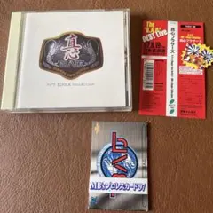 初回限定盤 真心ブラザーズ シングルコレクション