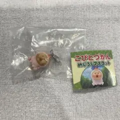 こびとづかん めじるしアクセサリー カクレモモジリ