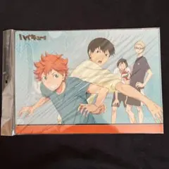 ハイキュー!! 烏野高校1年生 クリアファイル