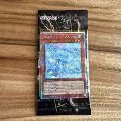 マルチャミー・プルリア　プリシク