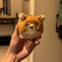 k*1様 ヨルシカ ぬいぐるみキーホールダー コーギー k*1様 ヨルシカ ぬいぐるみキーホールダー コーギー - メルカリ