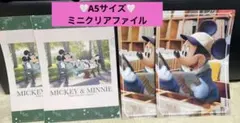【新品】ディズニー♡ミニクリアファイル（A5サイズ）4枚セット