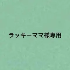 ラッキーママ様専用