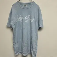 コンフォートカラーズ ロゴ Ｔシャツ クルーネック 半袖 S 淡青 綿 普段着