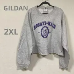 一点限り✨GILDAN ROSATI-KAN 【2XL】トレーナー グレー