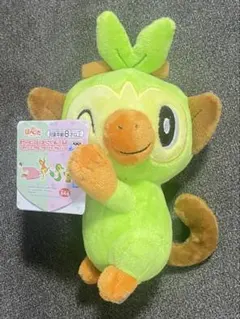ポケットモンスター　ほぺぴたぬいぐるみ　サルノリ　新品未使用タグ付きのサムネイル