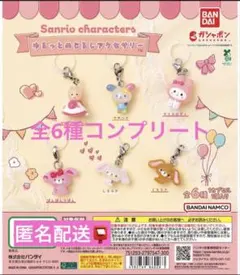 サンリオキャラクターズ⭐︎ゆるっとめじるしアクセサリー⭐︎全6種フルコンプ