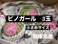 小玉スイカ 兵庫県産ピノガール♪ 3玉のサムネイル