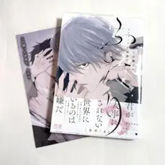 カシバ おとなぴ ランダムブロマイド - メルカリ