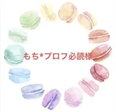 もち*プロフ必読様