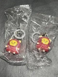 TREASURE truz めじるしアクセサリー LAWOO ラウ 2個セット