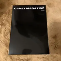 seventeen セブチ　カラットマガジン　carat magazine 13