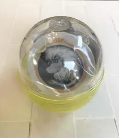 Item thumbnail for item b84b83a4-b3eb-4dc9-8bb6-a9d99e553ab9