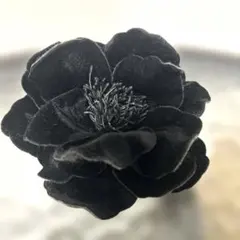 ブラックベルベットフラワーブローチ