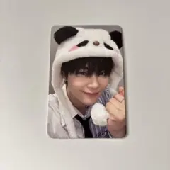 ZB1 zerobaseone ゼベワン ゴヌク パンダ トレカ