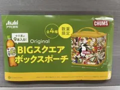 ☆CHUMS☆ BIGスクエアボックスポーチ