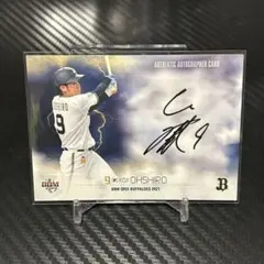 Item thumbnail for item e944529e-795d-4fe3-94d9-5e379db993a0