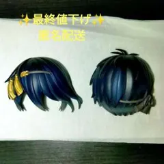 ねんどろいど　ねんどろいどどーる　髪パーツのみ