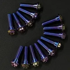 64チタン M8×30mm 16本 ブレーキ ディスク ボルト GP m1290 - メルカリ