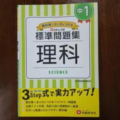 やんず様 リクエスト 2点 まとめ商品