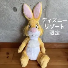ラビット　ぬいぐるみ フラッフィープラッシー ふわふわ ディズニーリゾート プー