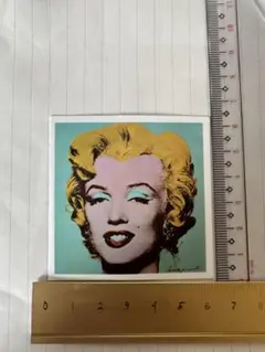 防水ステッカー　女性　ブランドのロゴ風　めっちゃおしゃれ　かっこいい