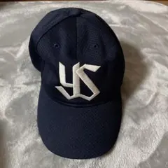 2025年最新】実使用 ヤクルトの人気アイテム - メルカリ