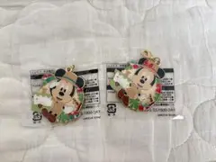 ディズニー　ジャングルカーニバル景品