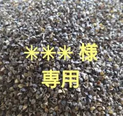 ✳︎✳︎✳︎ 様 専用