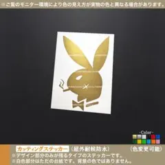 てつ様 リクエスト 2点 まとめ商品　白色に変更可能です！