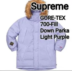Supreme GORE-TEX 700-Fill