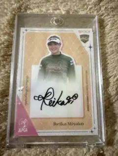 Item thumbnail for item 7a64103a-bdcb-4137-906a-a394603afbe5