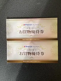 YAMADA HDGS お買物優待券 10000円分