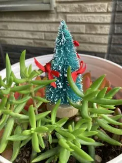 a−ya様専用ページ　２点