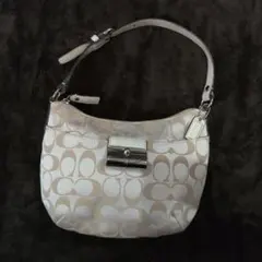 COACH アクセサリーポーチ シグネチャー ワンショルダー 43740