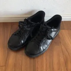 Item thumbnail for item d291f473-dff0-4e10-a238-2685f42266b9